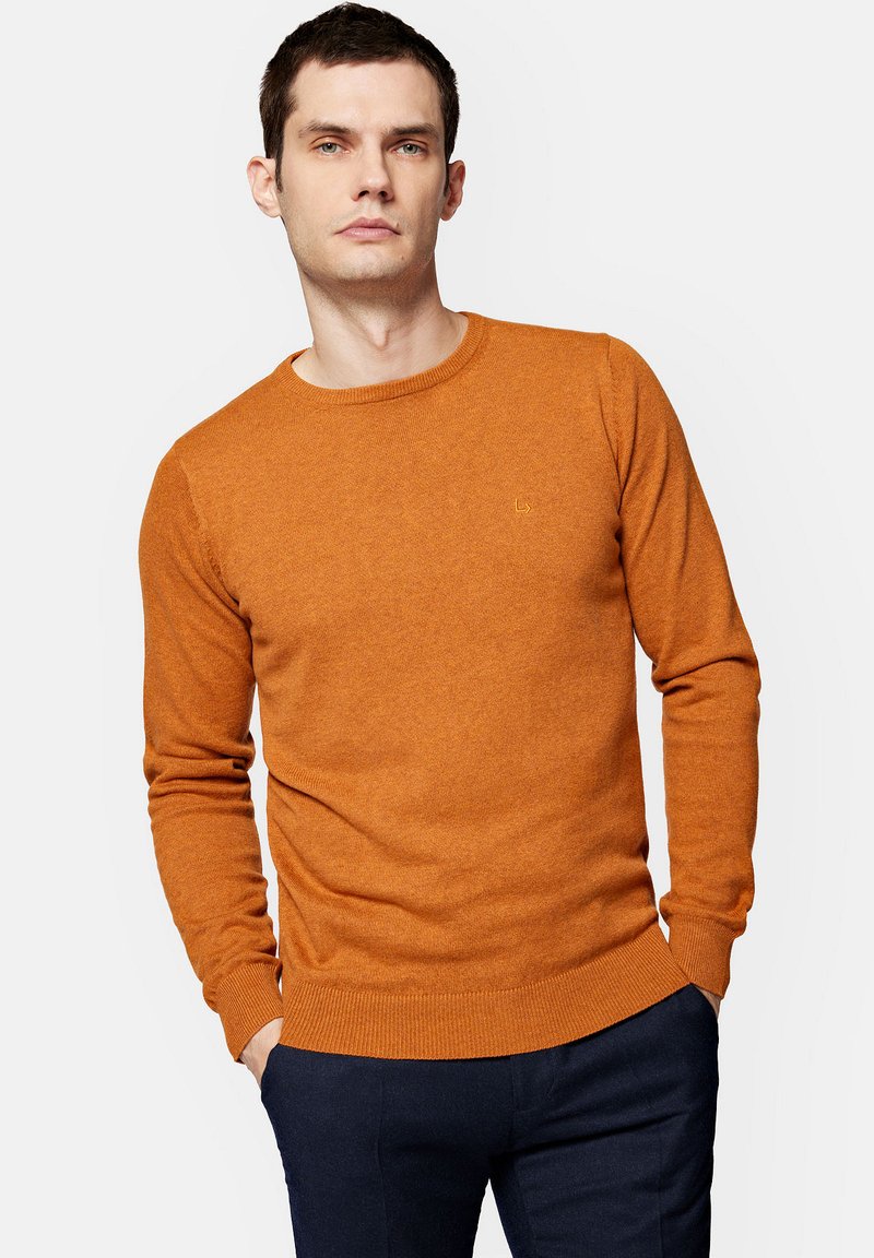 Pomarańczowy sweter z okrągłym dekoltem, z długimi rękawami i ściągaczami na mankietach. Posiada małe wyszywane logo na klatce piersiowej. Miękka tekstura, dopasowany krój.