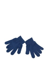 Guanti blu lavorati a maglia con polsini a coste, dotati di cinque dita e una texture morbida. Non sono presenti pattern o accessori.