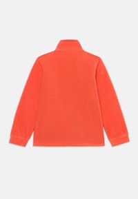 Columbia STEENS MT UNISEX - Flīsa jaka - zing/black