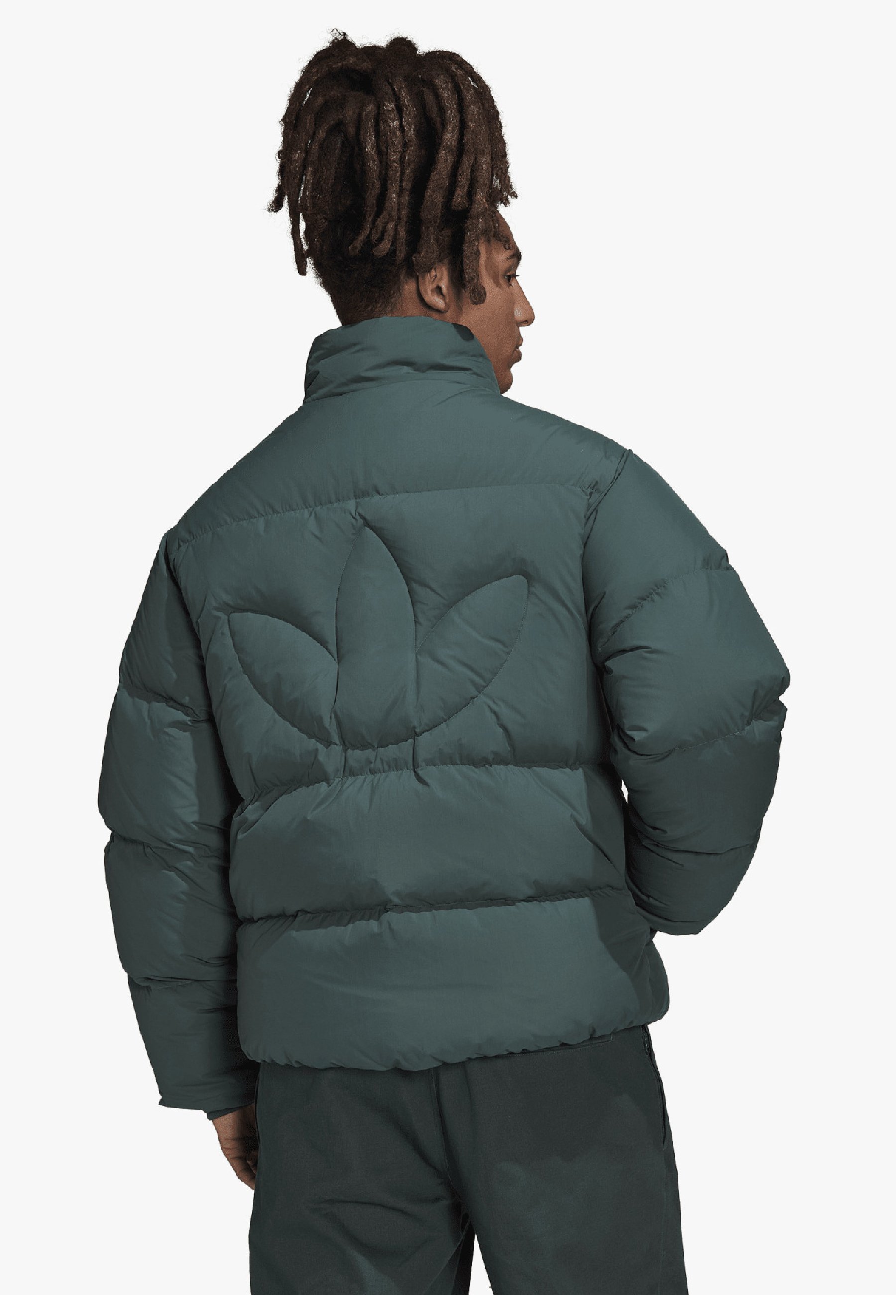 adidas Originals Gewatteerde jas - mineral green/donkergroen - Zalando.nl