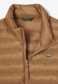 Bruine pufferjas met horizontale stiksels, hoge kraag en ritssluiting. Kenmerkt zich door een groene binnenlabel en een klein geborduurd krokodillenlogo.