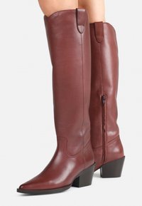 Tall brown leather boots with pointed toes, side zipper, and block heels worn on bare legs against a white background.