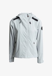 Selected, micro chip