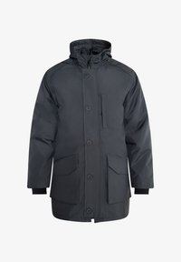 Pasirinkta, holzkohle