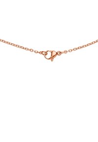 Collier en chaîne en or rose avec un design à maillons fins et un fermoir en forme de dauphin. La chaîne est lisse avec une finition brillante.