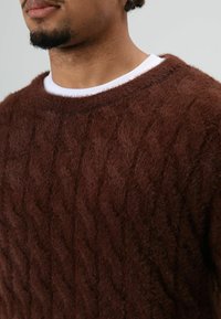 Bruine kabelgebreide trui met een pluche textuur, een ronde hals en een wit ondershirt dat zichtbaar is bij de kraag. Benadrukt een grof gebreid patroon.