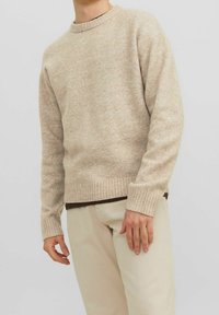 Pull en tricot beige avec un col rond et des poignets côtelés. Porté sur une chemise marron, associé à un pantalon de couleur claire. Tissu texturé.