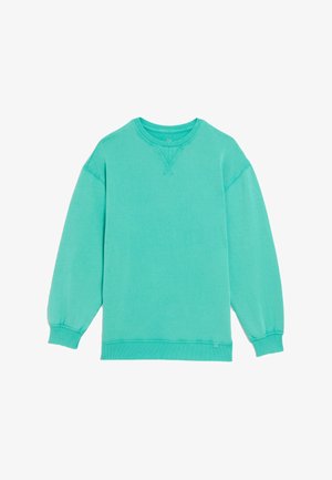 Mint green sweatshirt made of soft cotton blend, featuring a crew neck, long sleeves, ribbed cuffs, and slight texture. No visible patterns.