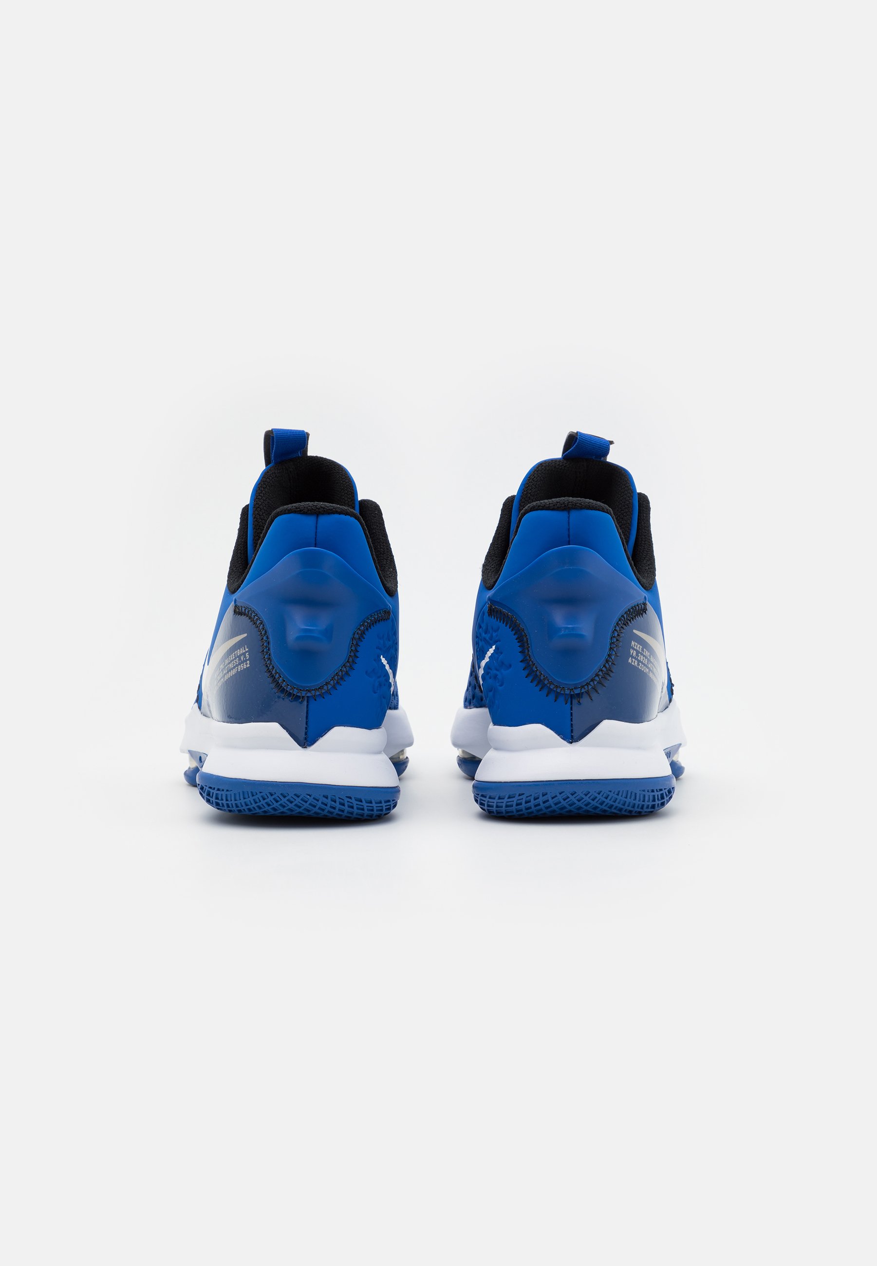 Nike Performance LEBRON WITNESS 5 