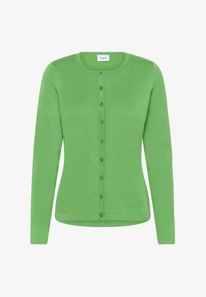 Roheline pikade varrukatega kardigan, mis on valmistatud pehmest kootud materjalist. Omab ümarat kaelust ja nööpidega ees sulgemist, samasuguste roheliste nööpidega.