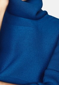 Maglione a collo alto blu con tessuto lavorato a maglia testurizzato, con colletto e polsini a costine, che presenta una tonalità vivace e una vestibilità aderente.