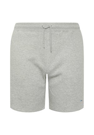BadRhino, MEN'S JOGGER SHORTS - Trainingsbroek - grey