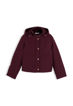 Tommy Hilfiger, Veste mi-saison - deep burgundy