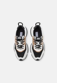 Steve Madden BELISSIMO - Sneakers laag - black/tan