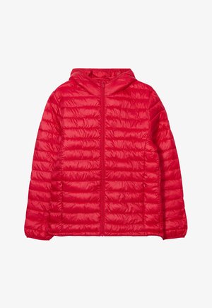 Creeks AMERICAN INSPIRATION FASHION COOL EASY - Chaqueta de invierno - red
