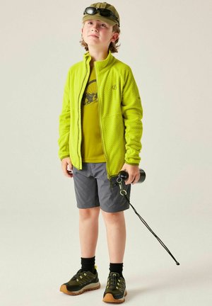 Dare 2B, UNISEX, zielony neon