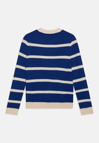 Maglione a righe blu con righe orizzontali in crema. Tessuto intrecciato, collo a giro e polsini e orlo a coste. Vista posteriore mostrata.