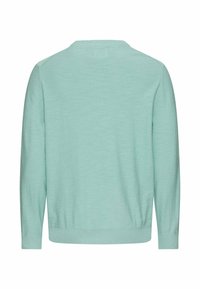 Lichtblauwe gebreide trui met lange mouwen, geribde boorden aan mouwen, zoom en halslijn, gezien vanaf de achterkant op een witte achtergrond.