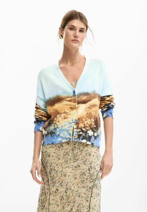 Cardigan in maglia azzurro chiaro con stampa paesaggio, caratterizzato da scollo a V, chiusura con bottoni e polsini a coste; indossato sopra un abito floreale.