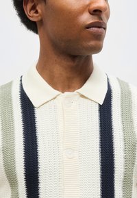 Άνδρας που φοράει κρεμ πλεκτό πόλο με κάθετες πράσινες και ναυτικό μπλε ρίγες, εμφανίζοντας το γιακά και το πάνω μέρος του στήθους.