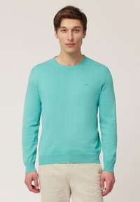 MANICA LUNGA - Svetrík - verde chiaro