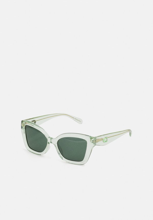 Sunglasses - transparent pistachio