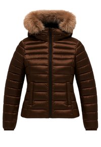 La giacca imbottita marrone presenta una finitura lucida, cuciture orizzontali, due tasche frontali e un cappuccio in pelliccia sintetica removibile.
