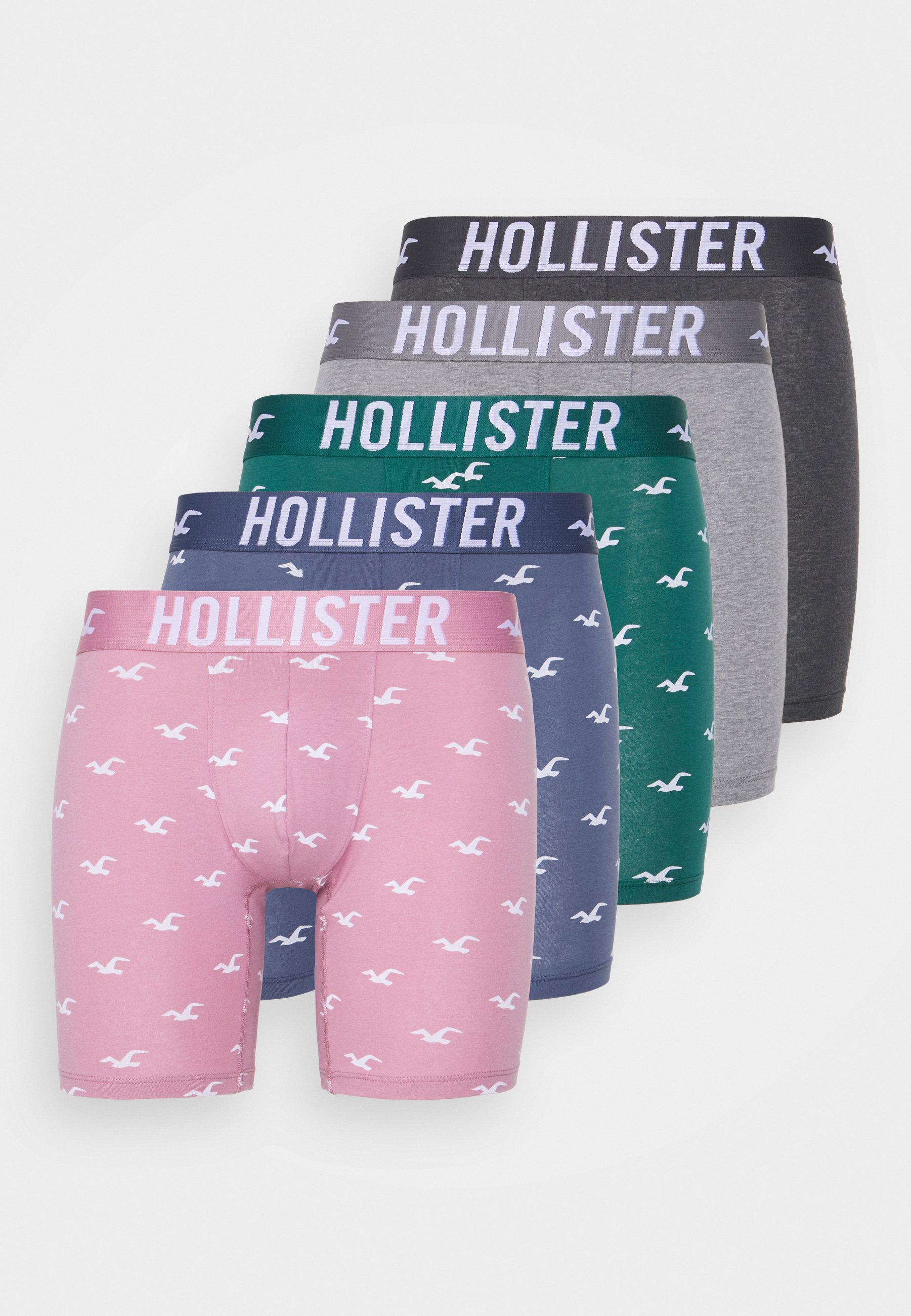 Hollister Co. ICON PATTERN 5 PACK 