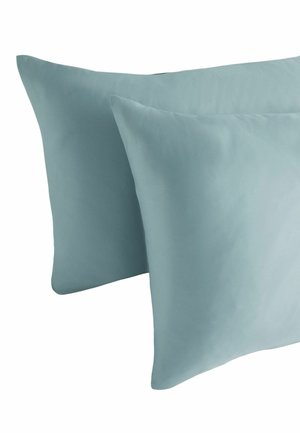 Two light blue rectangular pillows with a smooth texture against a white background.