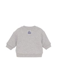 Szary bawełniany sweatshirt z okrągłym dekoltem, długimi rękawami, ściągaczami na rękawach oraz metką na plecach z niebieskim i żółtym napisem.