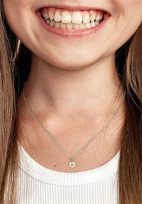 FAVS Collana - zilveren kleur