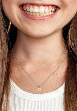 FAVS Halsband - zilveren kleur