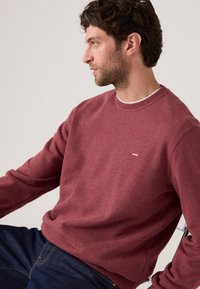 Bordeaux hoodie gemaakt van textuurstof, met een ronde halslijn en een klein Levi's-logo op de borst. Gecombineerd met donkere jeans.