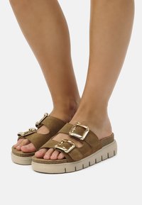 Sandali platform in suede marrone con tre fibbie dorate, design aperto sulla punta e una spessa suola beige con texture rigata per una migliore aderenza.