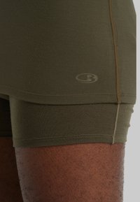 icebreaker ANATOMICA - Apakškrekls - OLIVE
