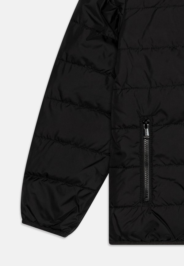 CORE JUNIOR HOODED PADDED PUFFER ZIP UNISEX - Winter jacket3