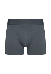 Grijze boxershorts gemaakt van zachte stof met een brede tailleband met een reliëflogo. Gladde textuur en aansluitend ontwerp.