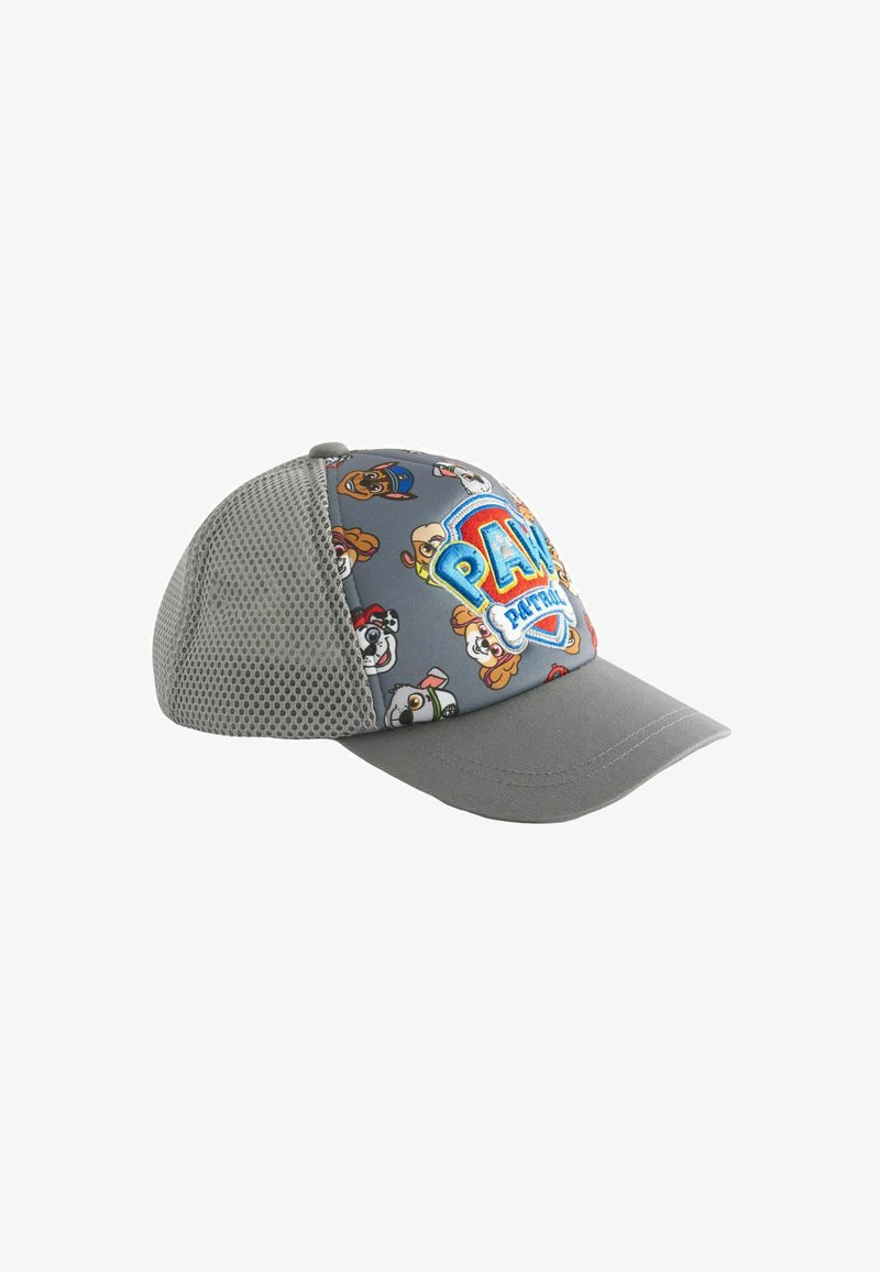 Gray cap featuring a mix of cartoon dog characters, mesh sides for ventilation, and an embroidered "PAW Patrol" logo on the front.