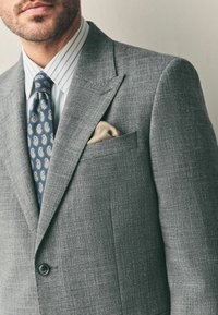 Hallhalli halltakk, millel on tekstuuriga kangas, on koos helesinise ja valge triibulise särgi, sinise paisley kaelaehega ja tan värvi taskurätikuga.