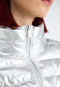 Giacca di piumino argento con colletto alto, chiusura zip e tessuto trapuntato. Il tessuto ha una finitura lucida e riflettente. Dettaglio premium sulla zip.