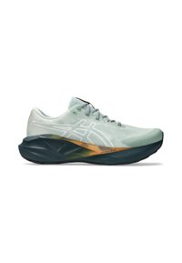 ASICS NOVABLAST 5 TR - Trail running shoes - nature bathing   lichen rock