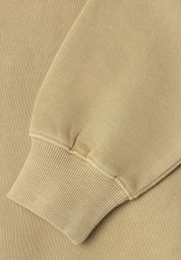 Pepe Jeans TIMOTHY - Jersey con capucha - dark stone beige