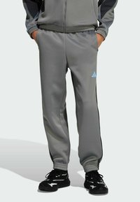 Sivé športové nohavice s elastickým pásom, so sťahovaním na členkoch a bočnými čiernymi pruhmi. Obsahuje svetlomodré logo na hornej časti nohy.