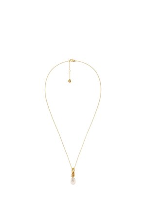 Nežen zlati verižica z zlatim obeskom v obliki vijuge, ki v središču drži eno belo biserno kapljico.