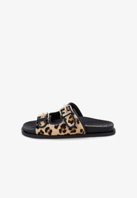 Sélectionné, leopard