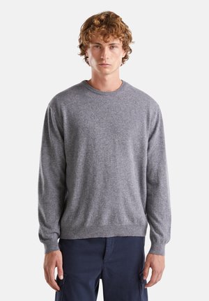 CREW NECK - Maglione - grey