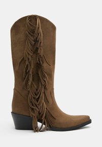 Stivali da cowboy in suede marrone con un design frangiato lungo il gambale, punta appuntita e tacco nero impilato.
