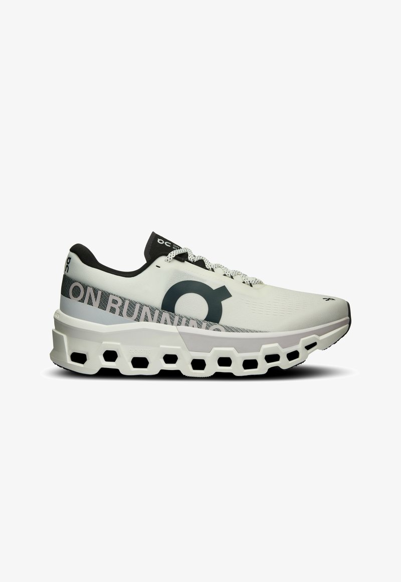 On CLOUDMONSTER 2 - Road running shoes - undyed frost