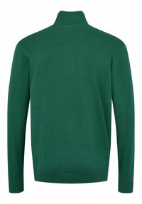 U.S. Polo Assn. BRISON HALF ZIP - Džemperis - rain forest