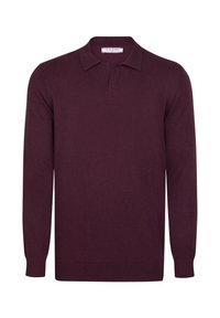 Weinroter langärmliger Poloshirt-Pullover aus weichem Material mit klassischem Kragen, gerippten Bündchen und entspannter Passform.